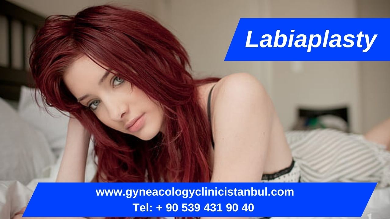 Labiaplasty 2023 1000 Usd