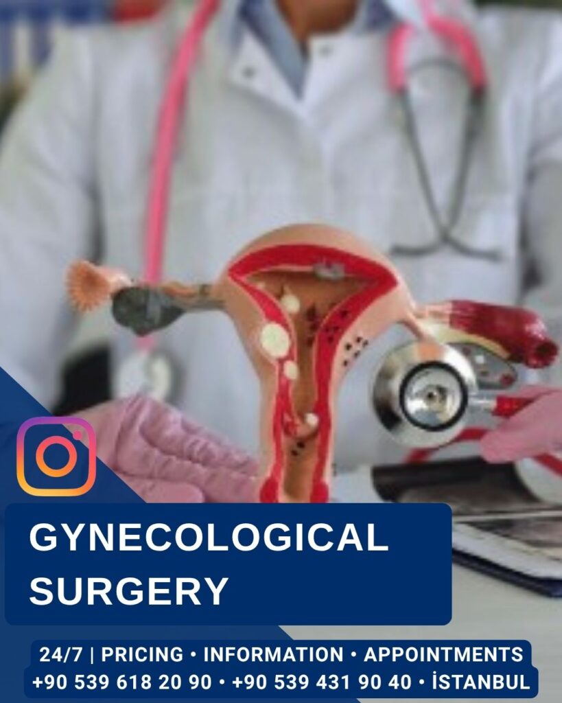 Home - Gynecological Surgery - Aesthetic Surgery and Gynecology Clinic in Istanbul -