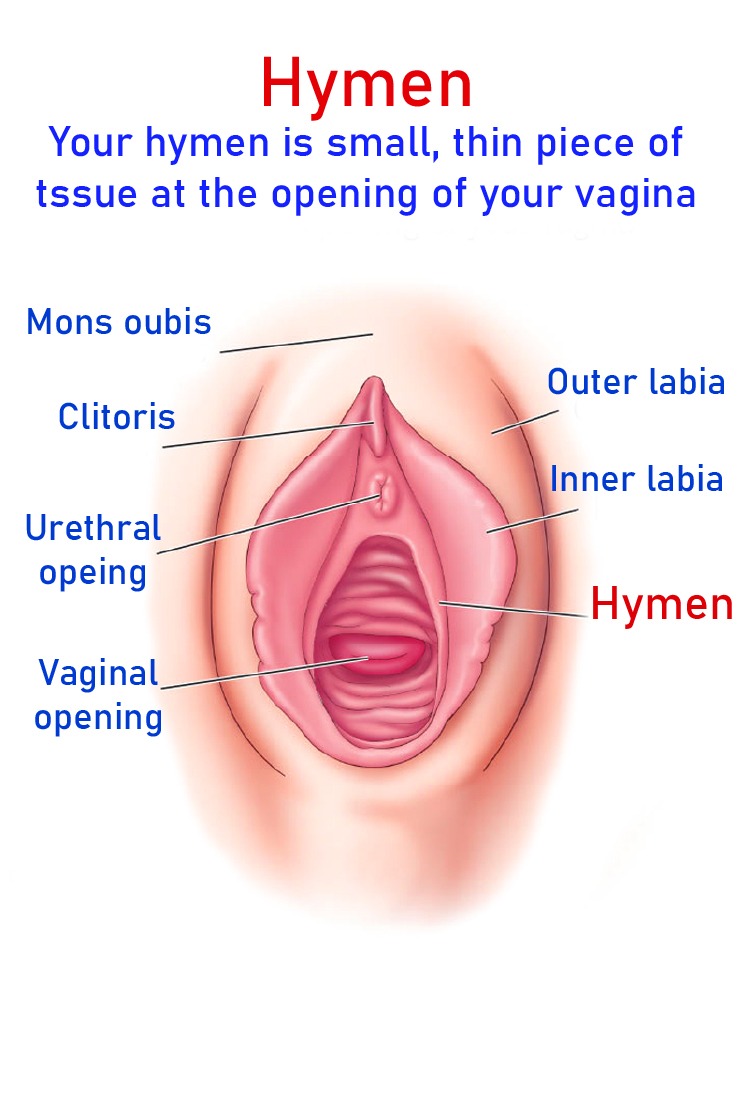 what is a hymen for hymenoplasty in turkey